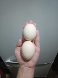 Ну если 2, это комбо, то у меня вообще Фаталити....