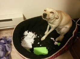 Показалось?