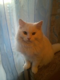 Вот, подобрал на улице. Разница 6 месяцев. К сожалению, зрение на левом глазе сохранить не удалось