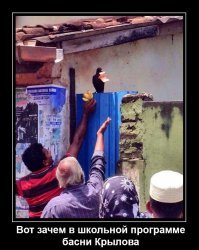 22 смешные ситуации, на которых запечатлен настоящий кайф