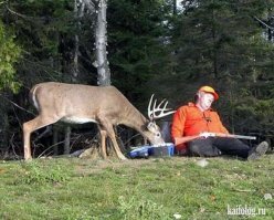 Неожиданная Хэ, которая могла произойти только в лесу