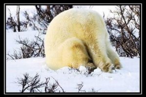 Пол-дня долблюсь, чета не ломается..
