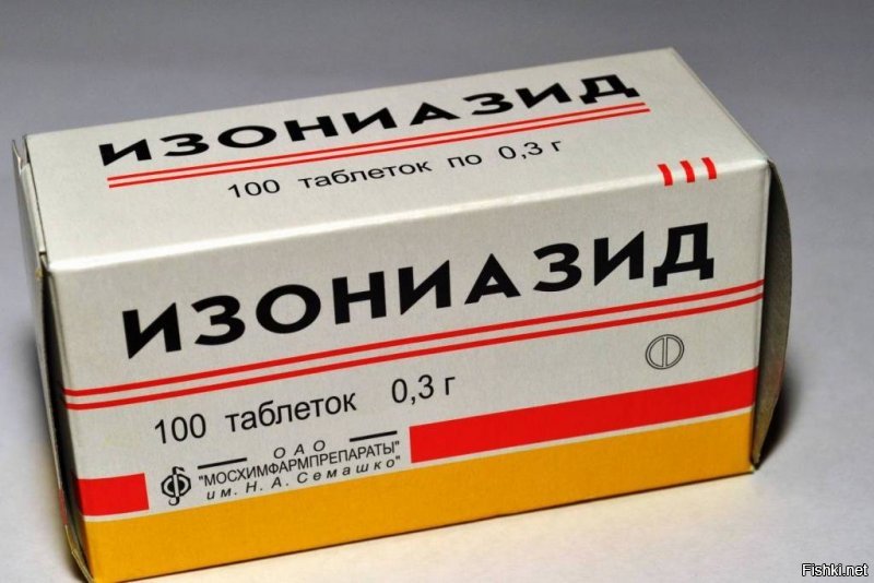 Нападение питбуля на занимавшегося кайтсерфингом  мужчину попало на видео