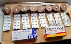 В Хакасии возбудили дело после нападения бродячих собак на девочку
