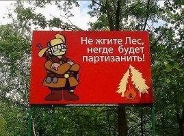 Неожиданная Хэ, которая могла произойти только в лесу