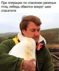 Питоны тоже так делают когда их ...