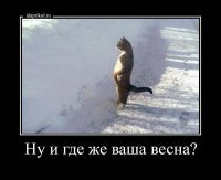 Намешалось