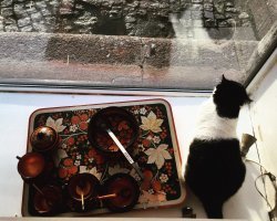 Это не дедушка! Это бабушка Муся!!!