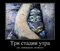 Мне больше нравится эта картинка, на мой взгляд, очень точно отражающая состояние утра понедельника.