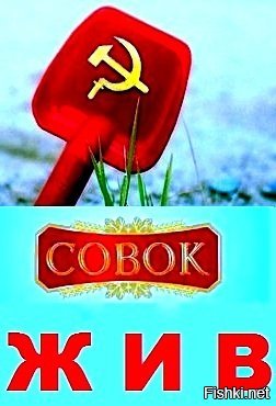 5 марта: Почему в России Сталина чтят больше, чем Путина?
