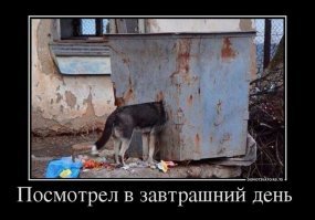 Магазины оштрафуют на 700 тысяч рублей за просрочку в мусорных баках