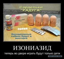 Женщина защитила 9-летнего мальчика от напавших на него собак