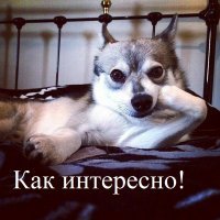 "Это какой-то ад". Будни работника «Фейсбука»