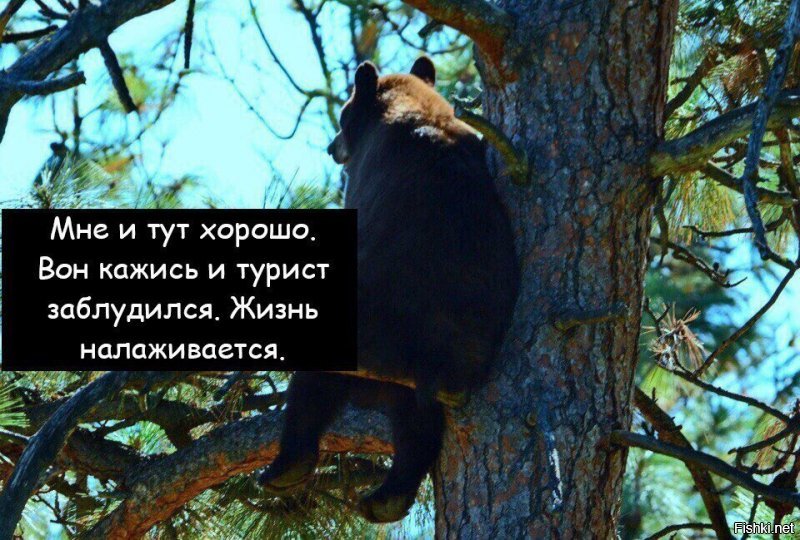 Пробитое дно: почему нас заставляют пить паленый алкоголь