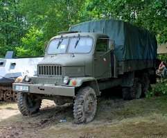 В "хаки" хорошо выглядит,а синяя в посту-как солянка,собранная на останках колхозного гаража))))