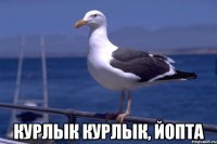 Прикольные и смешные картинки