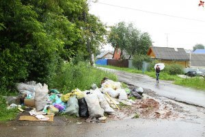 Давно пора навести порядок с мусором в частном секторе.