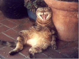 Здравствуй, зима, я приехал!