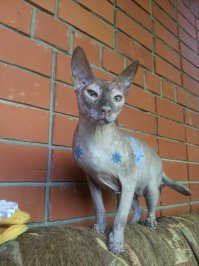 Картинки с надписями для настроения