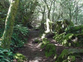 Римские дороги и миля на севере Португалии: