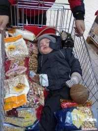 Арахис, кешью, подсолнечник, фисташки, кедровые, даже кокос... Нахрена столько орехов? Они белок воспитывают?