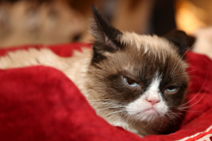 А меня значит забыли ? ... ну , ну ...