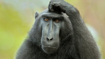 А если мужик с мужиком