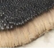 А эта "шкурка" какого?