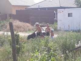 Мои дети гладят теленка)) не далеко от Краснодара.