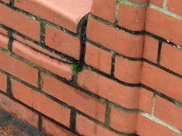 Ну и где там трава просвечивает? Это цвет раствора такой, или стяжки, как вы посмели выразиться.