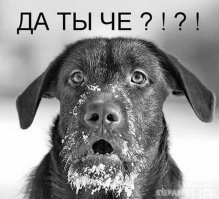 Француженка признана самой богатой женщиной в мире