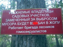 Не город, а мусорная яма. Как мы это допустили?