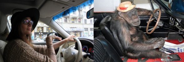 20 веселых сравнений людей с предметами: кто из них выглядит лучше?