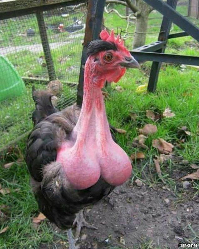 Теоретически - допустимо