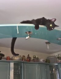 Да хоть два океана проблем - любить от этого меньше не станем :)