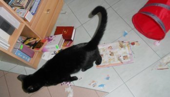 Да хоть два океана проблем - любить от этого меньше не станем :)