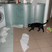 Да хоть два океана проблем - любить от этого меньше не станем :)