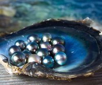 Чернокожие жемчужины Instagram, чья необычная внешность покорила мир