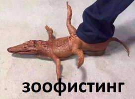 20 странных фото, которые введут в заблуждение даже не особо впечатлительных людей