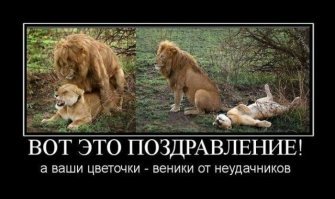 Девочки, девушки, женщины, с праздником!