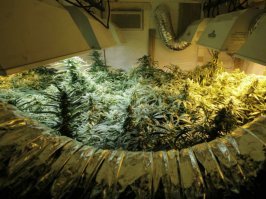 20 странных фото, которые введут в заблуждение даже не особо впечатлительных людей