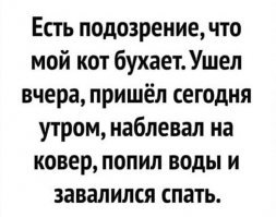 20 случаев, когда люди ждали от кошек море любви, а получили океан проблем