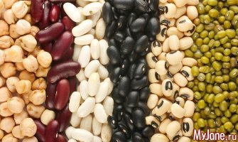 Двудольным что ли?