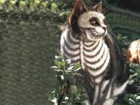 Свинцовый КрАЗ для Чернобыля