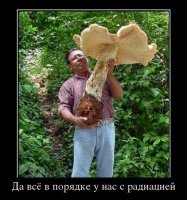 Свинцовый КрАЗ для Чернобыля