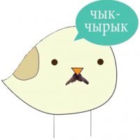 Как сложились судьбы исполнительниц женских образов в комедии "ДМБ"