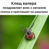 Мягкий Куриный Шашлык в Духовке
