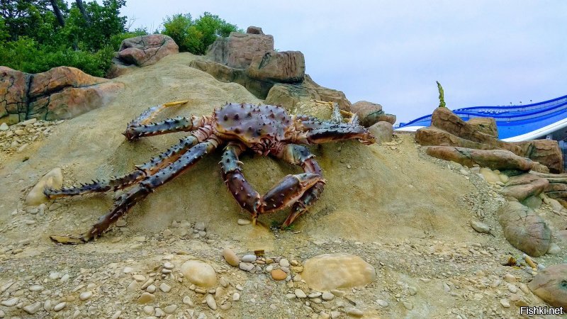 Побывал тем летом. Красотищщща
