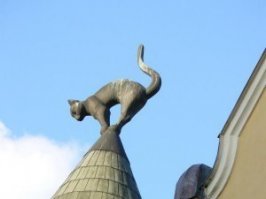 В 1910 году этот дом, как жилое и офисное здание, построил некий богатый латышский торговец, который не был принят в Большую гильдию. Торговец очень обиделся, и на крыше своего дома поставил двоих котов, хвостами обращенных к зданию Большой Гильдии, ясно показывая свое циническое отношение к гильдии и ее членам.   Вот это - сильно