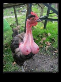 20 случаев, когда не стоит сразу верить своим глазам